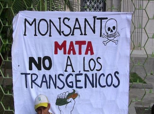 A banner at last week's Caracas anti-Monsanto protest (Aporrea tvi)